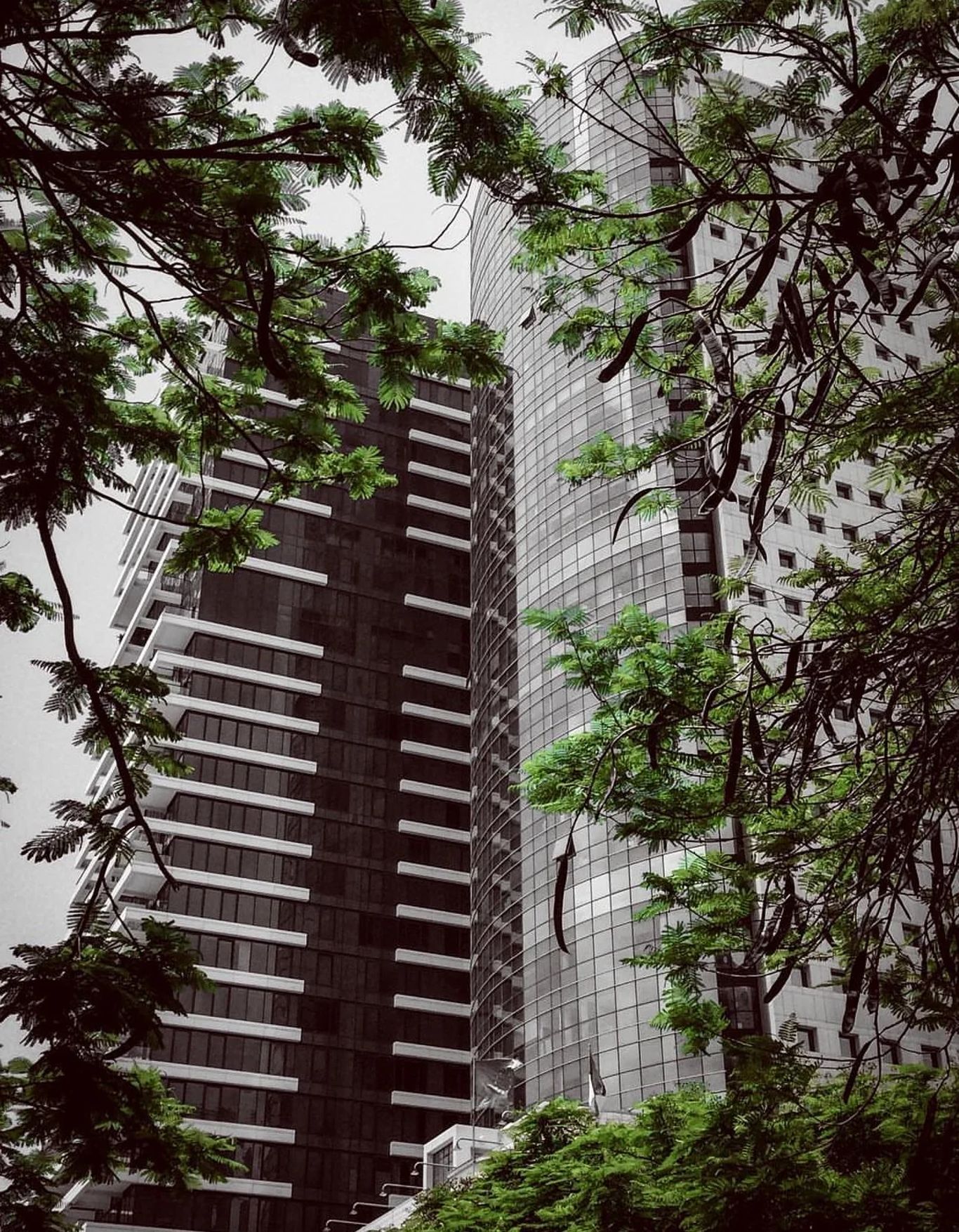 בניין משרדים בתל אביב - מגדל רוטשילד 3 | Rothschild 3 Tower בשדרות רוטשילד 3, Tel Aviv-Yafo, Israel - תמונה 2