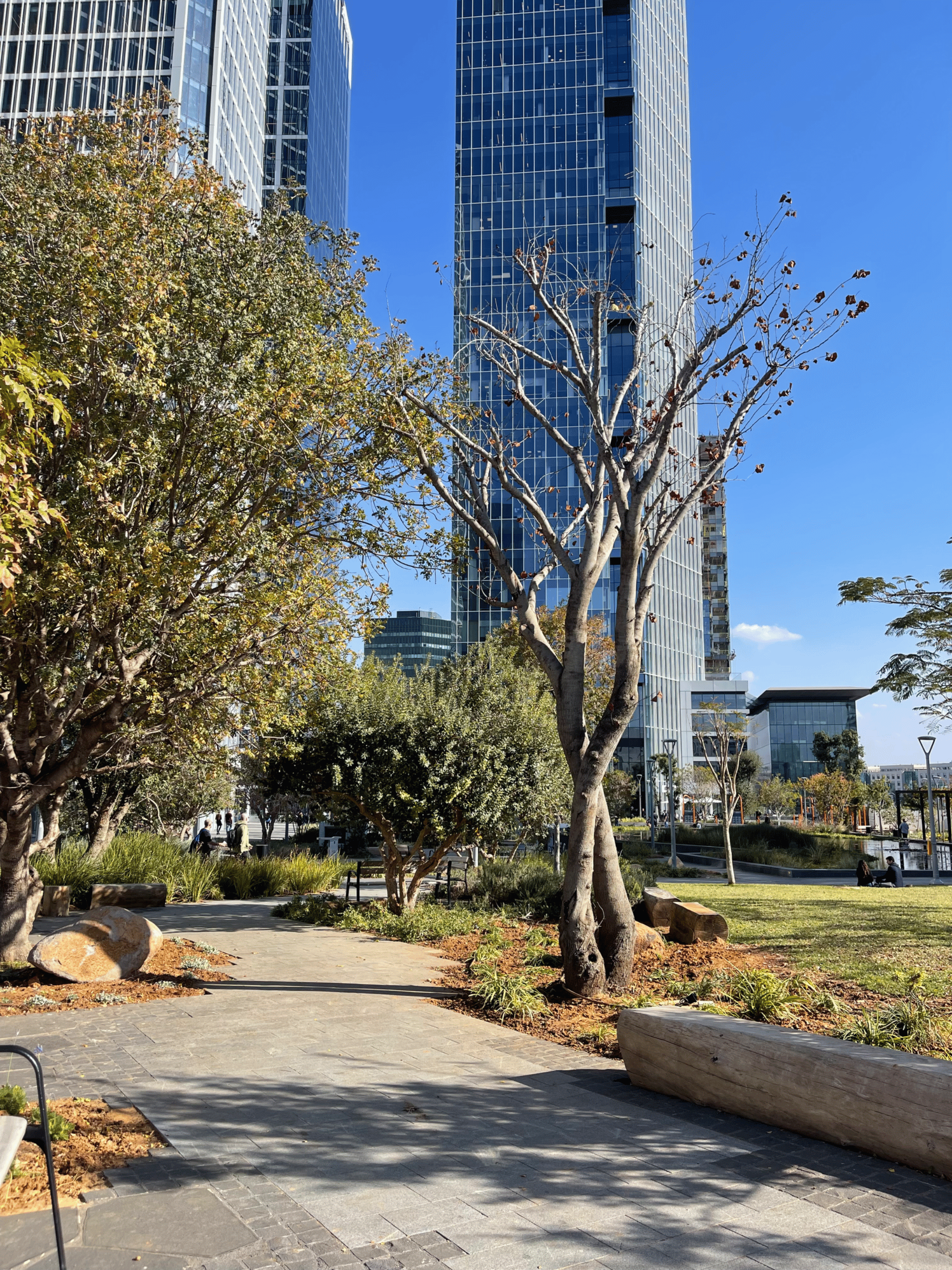 מגדל סקיי טאוור | SKY Tower