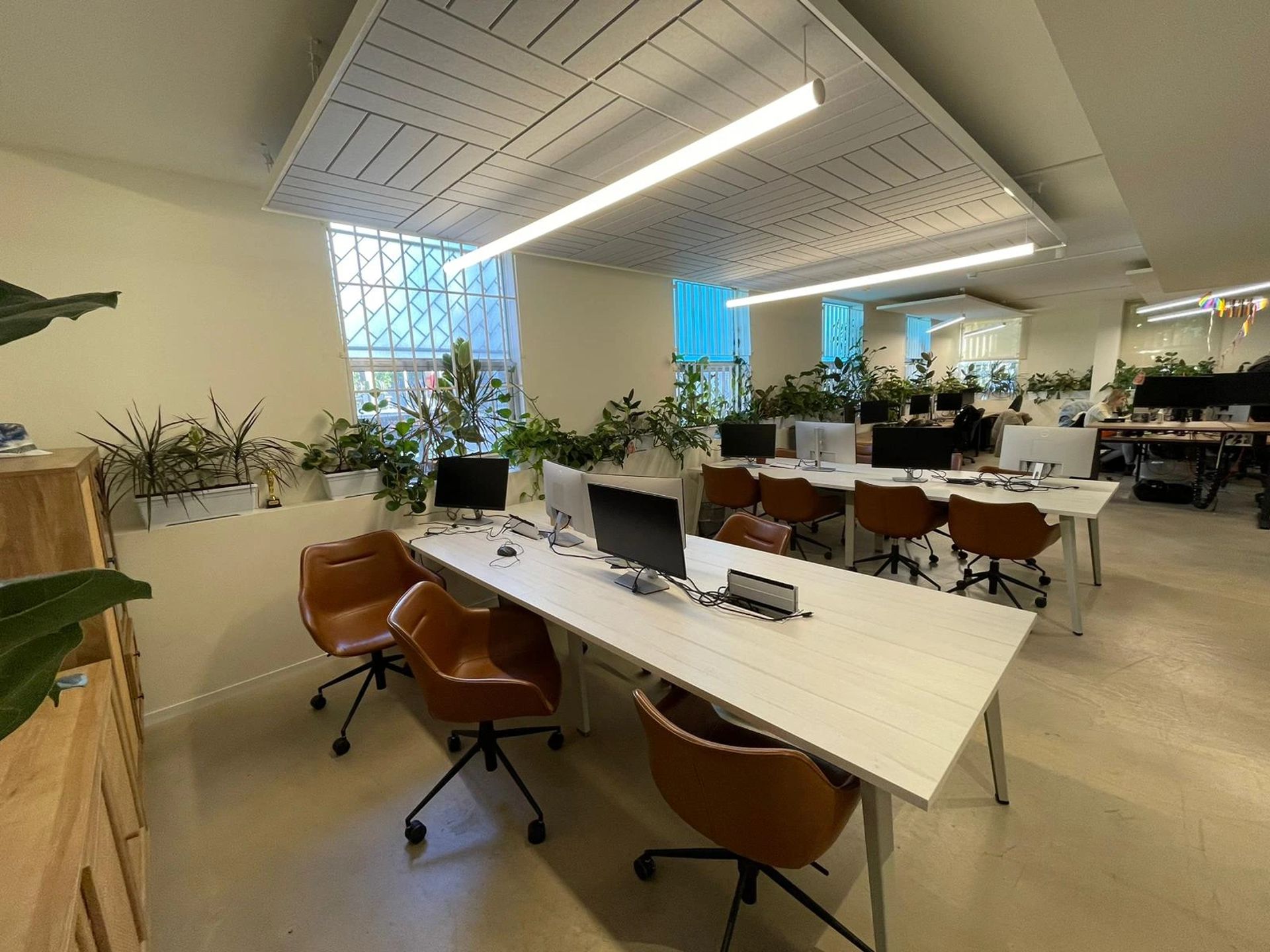 נכס להשכרה בתל אביב - משרדים בקומת קרקע עם חצר על רחוב קפלן במתחם שרונה והסביבה תל אביב